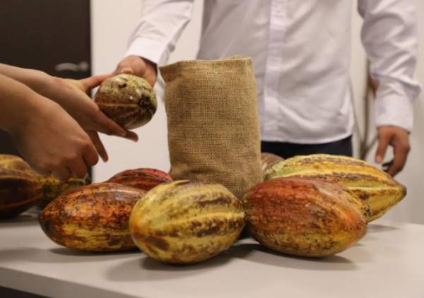 Guatemala dice presente en el Cacao of Excellence Awards 2023