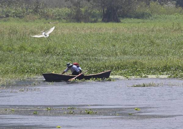 <i>Un hombre pesca en el lago Yojoa, a 140 km al norte de Tegucigalpa, el 11 de marzo de 2024. La Unión Europea contribuirá a regenerar el lago Yojoa, la mayor reserva de agua dulce de Honduras, que está sufriendo impactos negativos por el cambio climático y la basura, dijo un enviado de anunció el bloque el lunes. FOTO Orlando SIERRA/AFP</i>