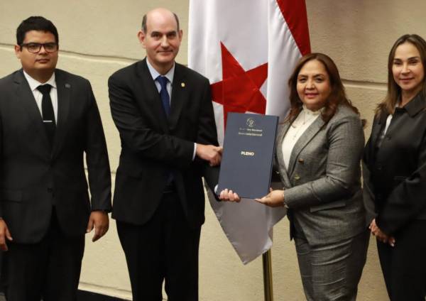 <i>El ministro de Economía y Finanzas, Felipe Chapman, presentó ante el Pleno Legislativo, el proyecto de ley que establece el Presupuesto General del Estado para la vigencia fiscal 2025. FOTO GOBIERNO PANAMÁ</i>