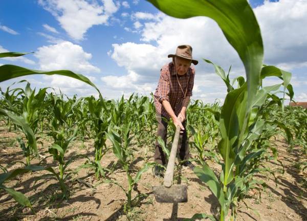 FAO llama a la integración para fortalecer la agricultura familiar en Latinoamérica