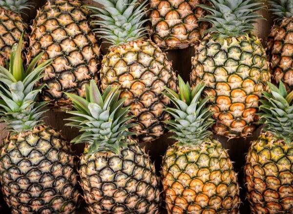 <i>La piña de Panamá va por nuevos mercados. FOTO ISTOCK</i>