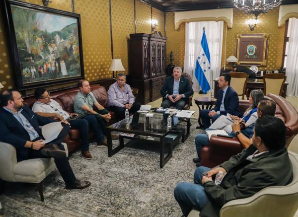 <i>La reunión con representantes del sector productor e industrial de palma africana fue liderada por el Secretario de Estado en el Despacho de la Presidencia, Juan Carlos García. Foto de cortesía</i>