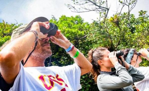 <i>Entre los principales resultados alcanzados destacan 852 especies registradas y 824 listas de observación reportadas en eBird, además de 445 especies documentadas, 1,748 observaciones y la participación de 290 fotógrafos en iNaturalist. FOTO CATA</i>