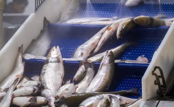 <i>FOTO SHUTTERSTOCK</i>