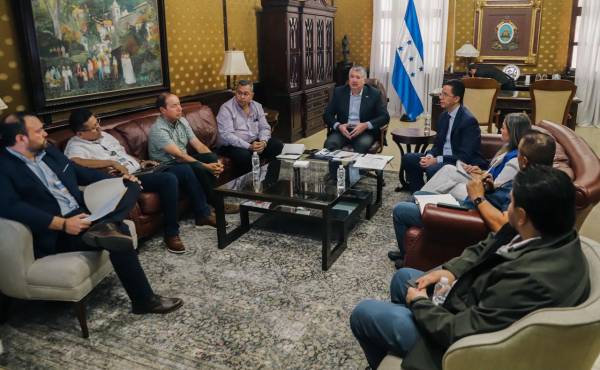 <i>La reunión con representantes del sector productor e industrial de palma africana fue liderada por el Secretario de Estado en el Despacho de la Presidencia, Juan Carlos García. Foto de cortesía</i>