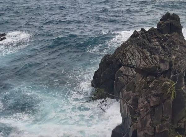 <i>FOTO DEL LUGAR DONDE SE LLEVAN A CABO LAS LABORES DE INVESTIGACIÓN. </i>