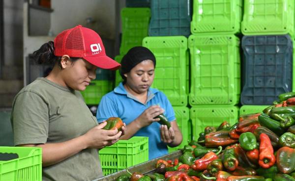 Walmart de México y Centroamérica impulsa una cadena de suministro sostenible y ética