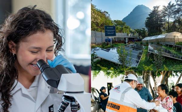 Castillo Hermanos: Un legado sostenible que transforma comunidades y mercados