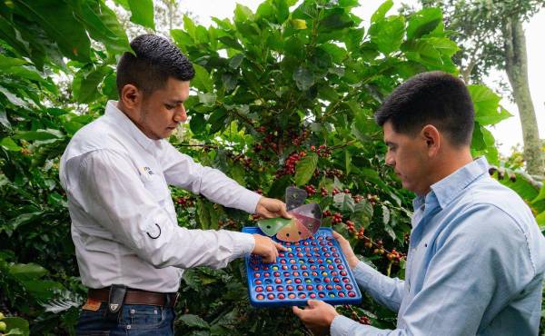 Nestlé destaca por su compromiso con la sostenibilidad.