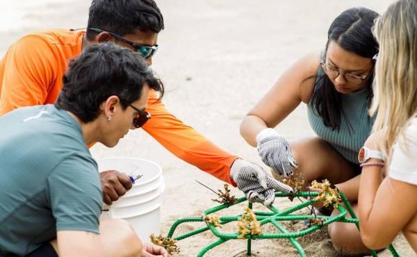 Peninsula Papagayo impulsa un modelo de turismo sostenible que genera valor para Costa Rica y sus comunidades