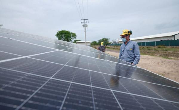 Sostenibilidad transversal: El modelo de Cargill para cadenas de suministro seguras en Centroamérica