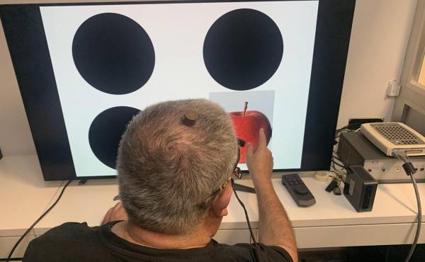 <i>Un paciente con ceguera total causada por un daño irreversible en el nervio óptico ha recuperado parcialmente la visión a partir de un ensayo clínico de microestimulación eléctrica cerebral. EFE/ Universidad Miguel Hernández (UMH)</i>