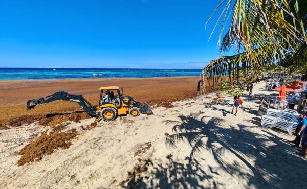 <i>Las autoridades locales estiman que los trabajos de limpieza, ejecutados mediante una alianza público-privada, se prolongarán entre tres y cuatro días más antes de que la playa sea rehabilitada al público. Foto de cortesía</i>