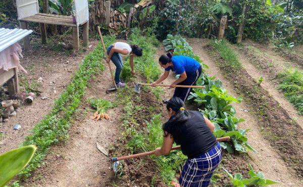 <i>El plan busca impulsar inversiones que generen resultados sostenibles para Honduras y convertir los recursos destinados al sector agroalimentario en una herramienta para transformar las condiciones de las familias rurales. Foto de cortesía</i>