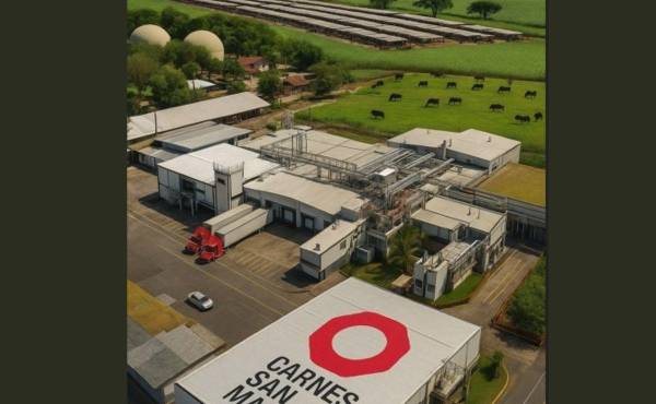 Carnes San Martín: Una operación transparente, eficiente y sostenible