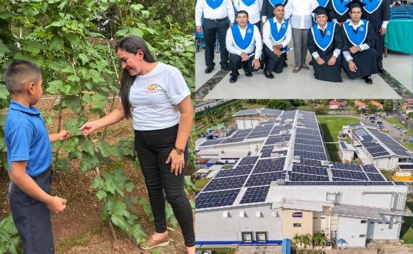 Grupo Melo: Modelo ASG que conecta personas, eficiencia y gestión responsable