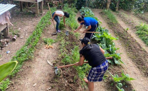 <i>El plan busca impulsar inversiones que generen resultados sostenibles para Honduras y convertir los recursos destinados al sector agroalimentario en una herramienta para transformar las condiciones de las familias rurales. Foto de cortesía</i>