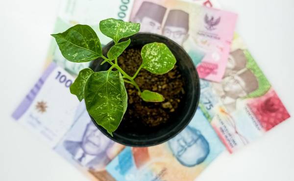 “Sin métricas confiables, la biodiversidad no es financiable: el desafío no es protegerla, sino aprender a medir su valor real.”, afirma el autor de este análisis. (Foto: Shutterstock)