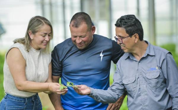 <i>Enrique Rojas trabaja junto a su esposa y recibe apoyo técnico por parte de especialista del programa Tierra Fértil. FOTO CORTESÍA</i>