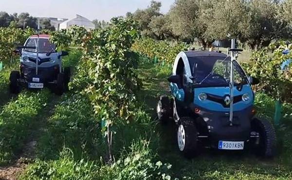 Detectar plagas y problemas de riego o aplicar tratamientos fitosanitarios selectivos, algunas de las tareas que los robots y vehículos autónomos pueden asumir para que la agricultura sea más tecnológica y rentable. EFE/ Centro De Automática Y Robótica (CAR), Centro Mixto Del CSIC Y La Universidad Politécnica De Madrid