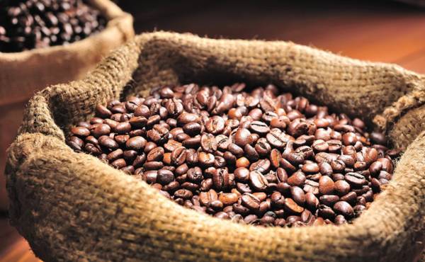 Según las autoridades del Ihcafé, el promedio de venta por cada saco exportado fue de US$312 por quintal. Foto de