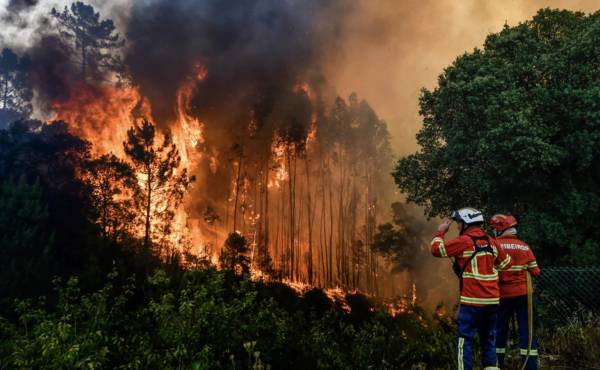 Incendios forestales se duplicaron en todo el mundo en 20 años