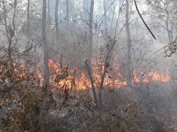 <i>Incendio Forestal en la reserva natural El Orégano, entrada Copán. Foto Bomberos Honduras</i>