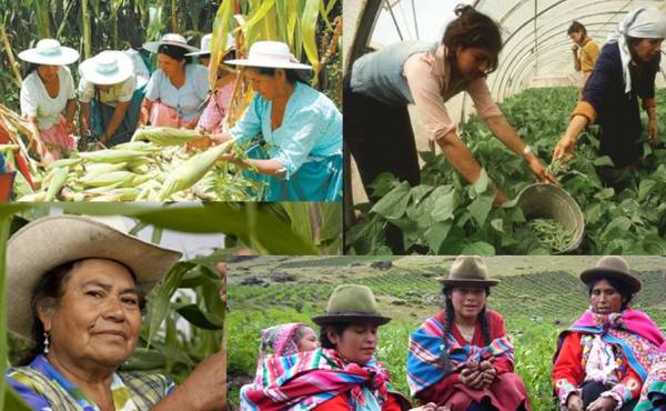 Si las mujeres tuvieran el mismo acceso que los hombres a recursos productivos, ellas podrían aumentar la productividad de sus actividades rurales de manera significativa.