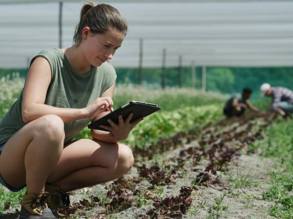 <i>Valonia cuenta con empresas, universidades y centros de investigación que trabajan en alternativas para proteger cultivos, preservar suelos y biodiversidad. (Foto: Archivo)</i>