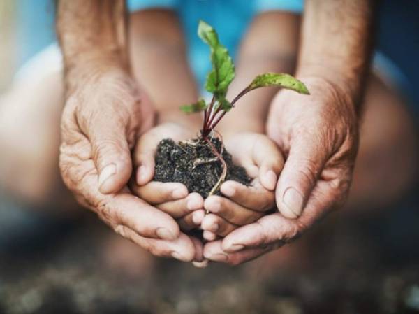 Closeup shot of an adult and child holding a plant growing out of soil