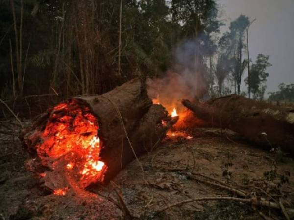 View of fire in the Amazon rainforest, near Abuna, Rondonia state, Brazil, on August 24, 2019. - President Jair Bolsonaro authorized Friday the deployment of Brazil's armed forces to help combat fires raging in the Amazon rainforest, as a growing global outcry over the blazes sparks protests and threatens a huge trade deal. (Photo by CARL DE SOUZA / AFP)