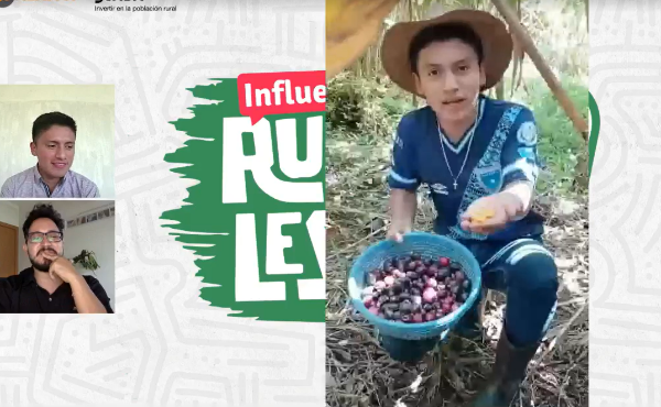 <i>El proyecto Huellas es una iniciativa impulsada por Conexión con el apoyo del Fondo Internacional de Desarrollo Agrícola - FIDA. Foto de cortesía</i>