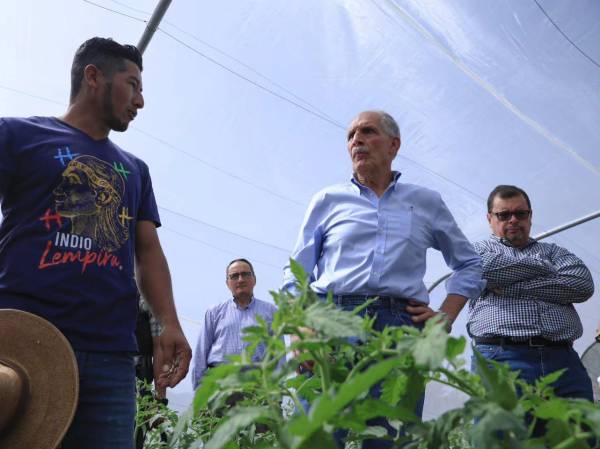 <i>El presidente de Honduras, Nasry Asfura, conoció los avances del Proyecto Integral de Desarrollo Rural y Productividad (ProOccidente). Foto de cortesía</i>