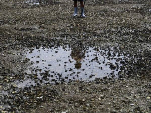 A child searches for live mollusks in Conchagua, 207 km east of San Salvador, on November 19, 2019. - The death of an uncountable number of mollusks, mostly clams and mussels, has alarmed local artisanal fishermen in the Bay of La Union, on the Pacific coast of El Salvador. The remains of the mollusks are visible along about 7 kilometers when the tide falls at the bay's beach. (Photo by MARVIN RECINOS / AFP)