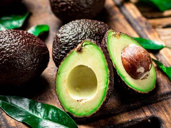 Guatemala aspira a estar entre los mayores exportadores de aguacate