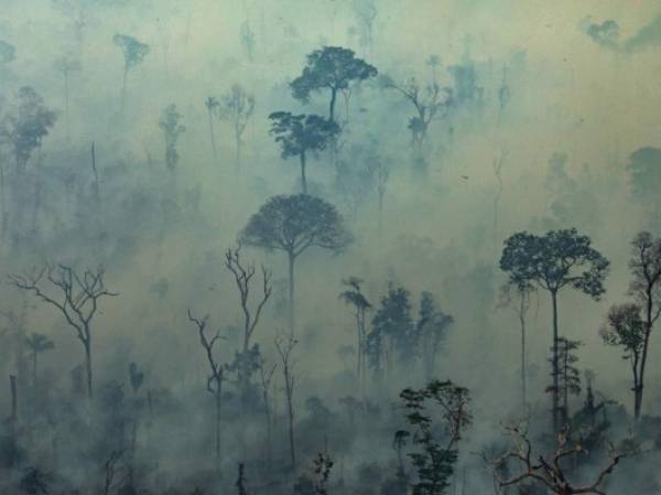 Handout aerial picture released by Greenpeace showing smoke billowing from fires in the forest in the Amazon biome in the municipality of Altamira, Para State, Brazil, on August 23, 2019. - Hundreds of new fires are raging in the Amazon rainforest in northern Brazil, official data showed on August 24, 2019, amid growing international pressure on President Jair Bolsonaro to put out the worst blazes in years. The fires in the world's largest rainforest have triggered a global outcry and are dominating the G7 meeting in Biarritz in southern France. (Photo by Victor MORIYAMA / GREENPEACE / AFP) / RESTRICTED TO EDITORIAL USE - MANDATORY CREDIT 'AFP PHOTO / GREENPEACE / VICTOR MORIYAMA' - NO MARKETING - NO ADVERTISING CAMPAIGNS - DISTRIBUTED AS A SERVICE TO CLIENTS