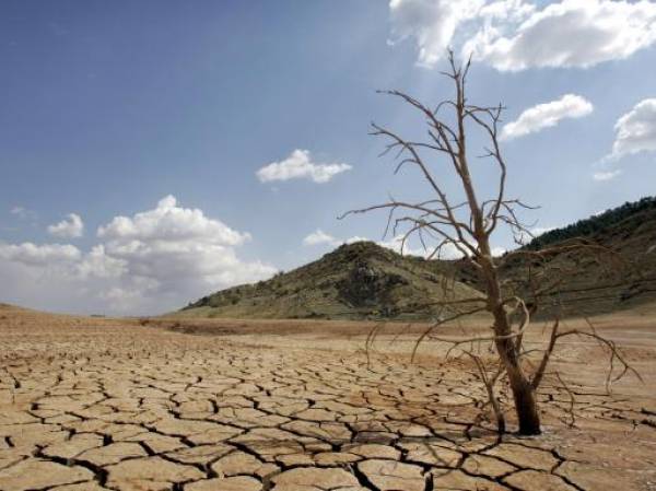 ONU: Regiones enteras serán inhabitables por olas de calor en las próximas décadas