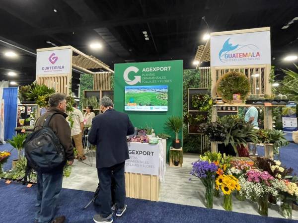 Empresas guatemaltecas participan en la Exposición Internacional de Plantas Tropicales