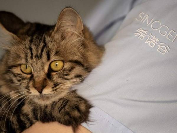 Foto: Estrategia y Negocios