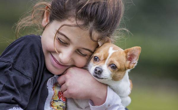 Día Mundial del Perro: 5 Actividades ideales para compartir junto a su mascota