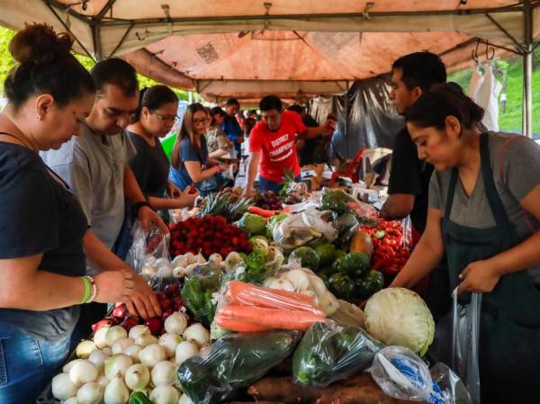 Destacan los aumentos de precios en hortalizas y frutas como repollo, tomate pera, cebolla, pataste, melón y naranja. Foto de archivo