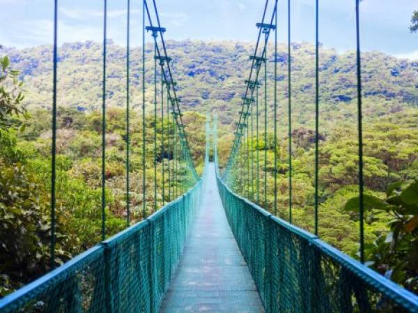 View of pedestrian suspension bridge in the jungles of Costa Rica.