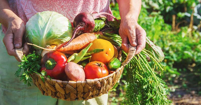 Programa Mundial de Alimentos aprueba US$129.2 millones para El Salvador