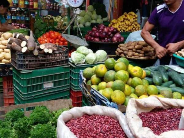 Congelan los precios de 40 productos de la canasta básica de Honduras
