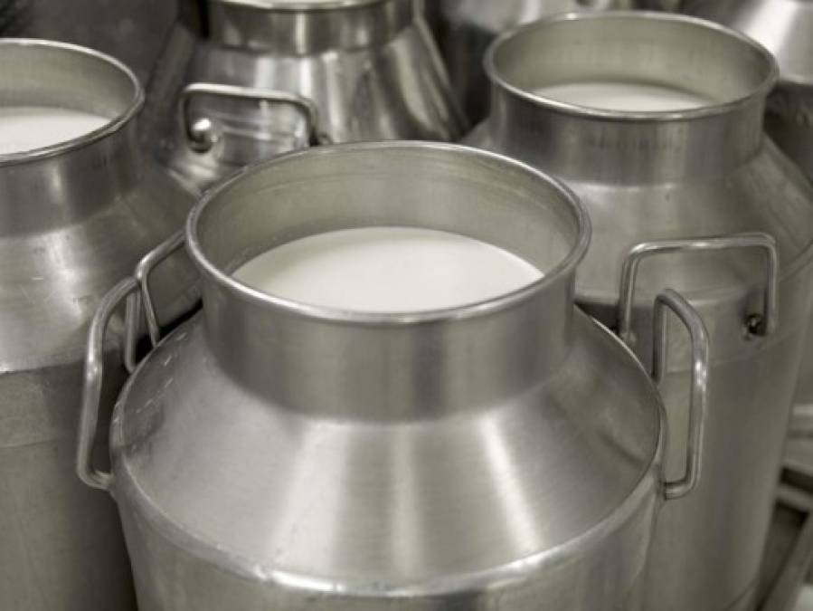 Centroamérica, una región sexy para la industria láctea