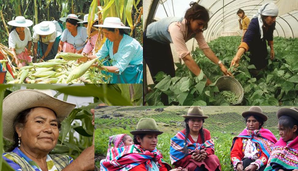 Si las mujeres tuvieran el mismo acceso que los hombres a recursos productivos, ellas podrían aumentar la productividad de sus actividades rurales de manera significativa.