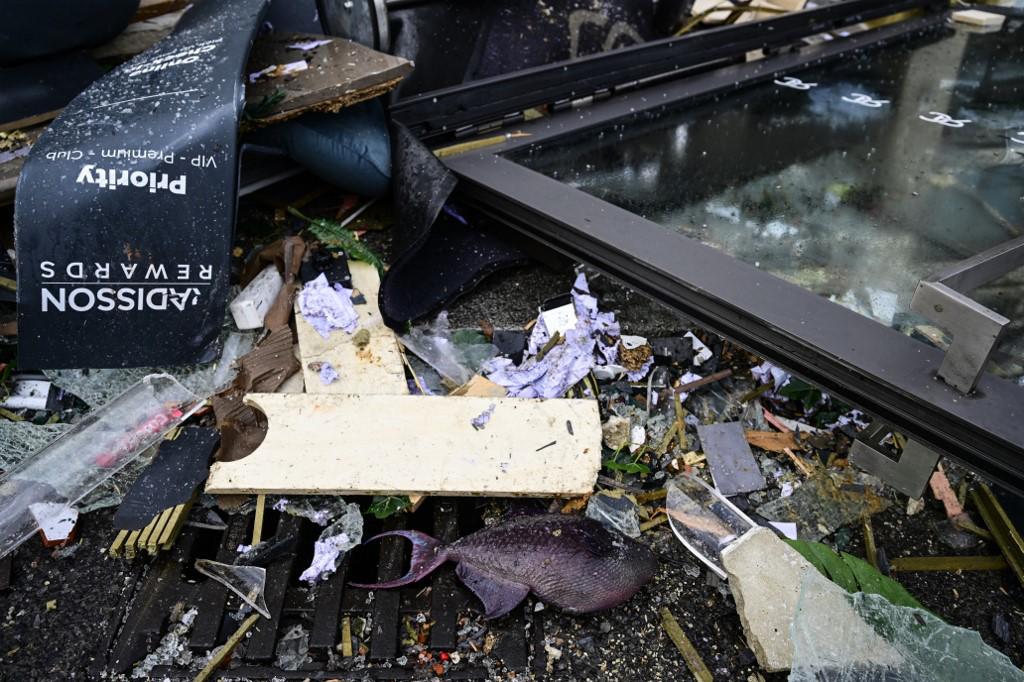 <i>Un pez muerto yace entre los escombros frente al hotel Radisson Blu, donde un enorme acuario ubicado en el vestíbulo del hotel estalló el 16 de diciembre de 2022 en Berlín. - El acuario AquaDom se ha reventado y la fuga de agua ha obligado al cierre de una calle cercana, dijeron policías y bomberos. (Foto de John MACDOUGALL / AFP)</i>