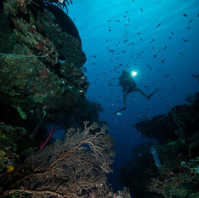 Snorkel en Honduras.