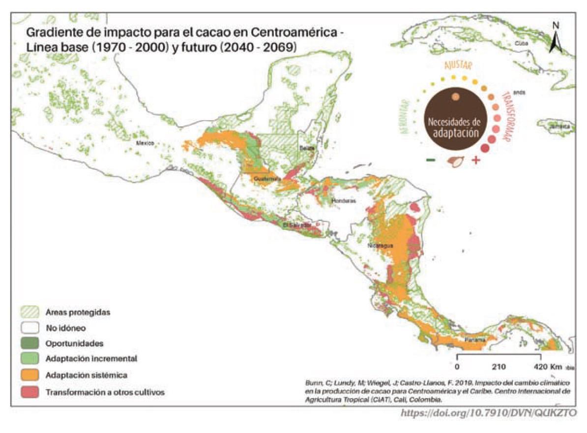 Cultivo de cacao bajo riesgo por cambio climático