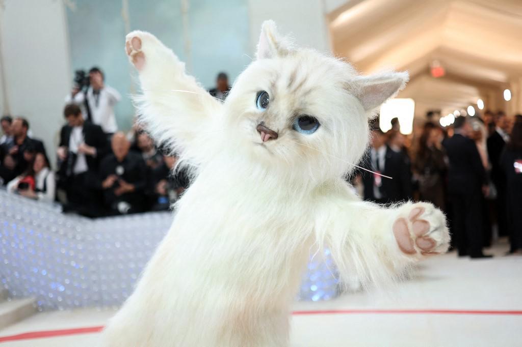 <i>NUEVA YORK, NUEVA YORK - 1 DE MAYO: Jared Leto, vestido como Choupette, el gato de Karl Lagerfeld, asiste a la Gala Met 2023 que celebra “Karl Lagerfeld: A Line Of Beauty” en el Museo Metropolitano de Arte el 1 de mayo de 2023 en la ciudad de Nueva York. Mike Coppola/Getty Images/AFP (Foto de Mike Coppola/GETTY IMAGES NORTH AMERICA/Getty Images vía AFP)</i>